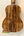 Kanile’a K-1 Deluxe Tenor Ukulele featuring stunning Hawaiian Koa wood grain at Island Bazaar