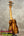 Kanileʻa K-1 Soprano Ukulele in premium Hawaiian koa with glossy finish and tuning pegs