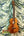 Wooden Kanile’a K-1 Tenor Ukulele in Hawaiian Koa Wood at Island Bazaar Ukes