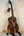 Beautiful Kanile’a K-3 Tenor Ukulele in Master Grade Curly Koa on display stand