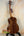 Beautiful Koa wood Kanile’a K-3 Tenor Ukulele displayed on a black stand