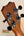 Guitar headstock with black tuning pegs on wood, featuring Kanile’a K3-T Tenor Koa Ukulele