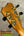 Back of Kanileʻa KPA-C Master Concert Ukulele headstock with gold tuners and black knobs
