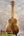 Kanileʻa kpa pro tenor ukulele with premium solid hawaiian koa wood and golden-brown finish with rich grain pattern