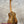 Kanilea kpa pro tenor ukulele with rich swirling grain pattern solid mango wood and golden hardware