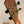 Guitar headstock with brass tuning pegs for Kanile’a KPA-T Master Koa Tenor Ukulele