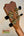 Guitar headstock with brass tuning pegs for Kanile’a KPA-T Master Koa Tenor Ukulele