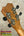 Ukulele headstock with tuning pegs on Kanileʻa Pōhaku T Pro Tenor Ukulele solid maple