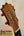 Wooden guitar headstock with tuning pegs and inlay on KoAloha KCM-10 Concert Ukulele