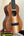 KoAloha KCM-10RP Concert Ukulele in Royal Pikake with solid Hawaiian Koa finish