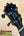 Guitar headstock with black tuning pegs on KoAloha KCM-10RP Royal Pikake Ukulele