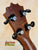 Guitar headstock with black tuning pegs on solid mango wood for KoAloha KCM-10RP-MG Concert