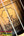 Ukulele interior label and strings in the KoAloha KSM-00 Soprano with Hawaiian Koa
