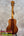 Koaloha ktm-00 tenor ukulele with hawaiian koa wood and authentic hawaiian sound in rich dark brown finish