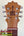 Guitar headstock with silver tuning pegs on KoAloha KTO-G6 Tenor Guitarlele 6-String