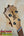 Wooden ukulele headstock with black tuning pegs on a KoAloha Opio Concert Ukulele