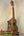 Wooden KoAloha Opio Concert Ukulele made of Koa and Mango on a black stand