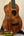 Beautiful Koa wood Ukulele with dark grain patterns from KoAloha Royal Pikake KCM-00RP