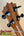 Guitar headstock of KoAloha Royal Pikake Concert KCM-00RP with black tuning pegs and broken string