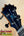Guitar headstock with blue inlay and black pegs for KoAloha Royal Pikake KCM-00RP