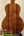 Acoustic guitar featuring richly striped Koa wood back panel of KoAloha Royal Pikake Concert