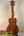 Beautiful Koa wood tenor ukulele on a stand, Koaloha Royal Pikake KCM-00RP