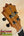 Ukulele headstock with tuning pegs on Koaloha Royal Pikake Tenor Uke in solid Hawaiian koa