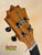 Ukulele headstock with tuning pegs on Koaloha Royal Pikake Tenor Uke in solid Hawaiian koa