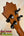 Guitar headstock with black tuning pegs on solid Hawaiian Koa of Koaloha Royal Pikake
