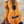 Koaloha tenor matte finish Hawaiian ukulele with dark fretboard and four white strings