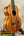 Wooden Kamaka HF-3 tenor ukulele on stand, solid koa, perfect for enthusiasts
