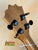 Guitar headstock with black tuning pegs on wood for KoAloha Royal Pikake KTM-10RP