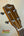 Ohana CK-50G headstock showcasing tuning pegs and strings of solid cedar & rosewood