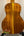 Ohana TK-350G Tenor Ukulele showcasing rich honey-colored wood back panel design