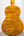Golden acoustic guitar featuring quilted maple, Ohana TK-70WG Spruce Top Tenor Ukulele