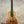 Acoustic PCH Sunshine Tenor Ukulele with curly koa wood body and ebony fretboard
