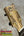 PCH custom tenor ukulele headstock with natural wood grain and gold tuners