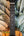 Romero Creations Concert Ukulele with wooden body against tropical leaf background