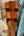 Wooden ukulele headstock with four black tuning pegs for Romero Creations Spalted Mango