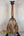 Romero Creations Tiny Tenor Ukulele in Spalted Mango with exquisite wood grain detail