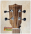 Guitar headstock with Tradewinds branding on Tenor Acacia Ukulele Beginners Bundle