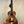 Beautiful Koa Wood Kanile’a KPA Premium Tenor Ukulele with Deluxe Case and Natural Finish