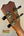 Guitar headstock featuring gold tuning pegs on Kanile’a KPA Premium Tenor Ukulele