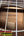 Custom vintage martin baritone ukulele with natural wood finish and engraved serial number 599339