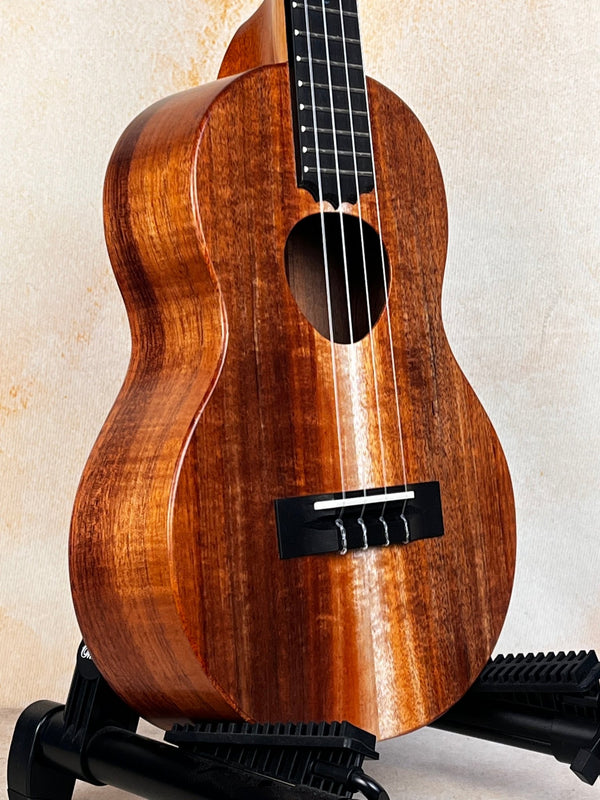 Discounted Koaloha Royal Pikake Tenor Ukulele KTM-10RP Satin-Finish Koa - Island Bazaar Ukes